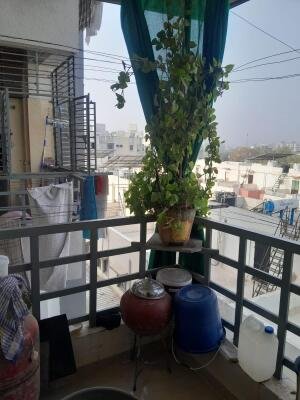 Ahmedabad East