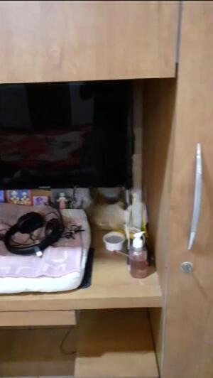 Satyam hills platinum wing , Satyam hills, Rajkot, Gujarat - LockMyKey