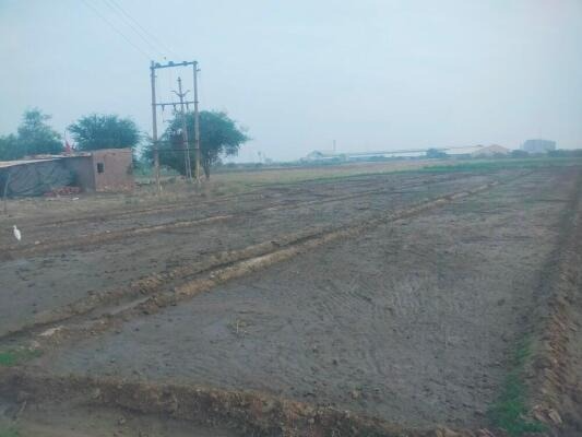 Wankaner, Morbi, Gujarat - LockMyKey