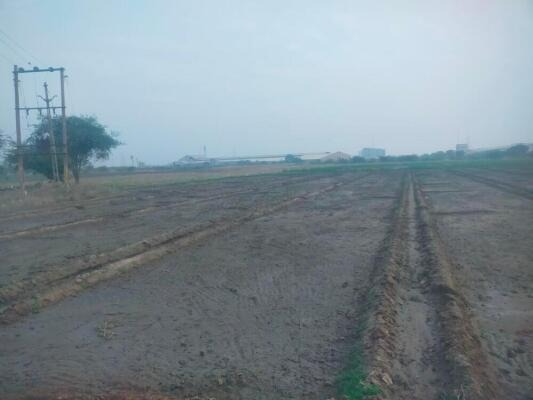 Wankaner, Morbi, Gujarat - LockMyKey