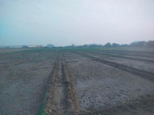 Wankaner, Morbi, Gujarat - LockMyKey