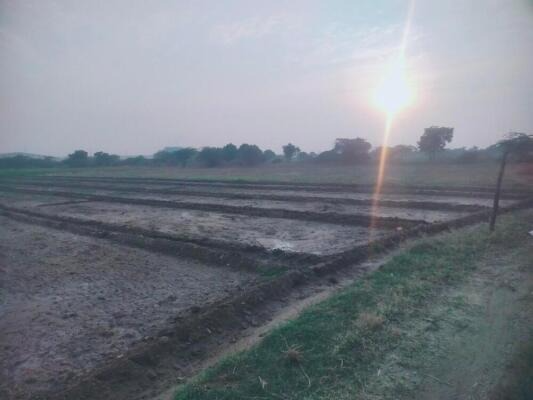 Wankaner, Morbi, Gujarat - LockMyKey