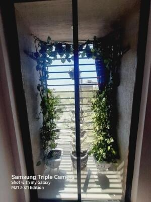 Neels Greenwoods, University Road, Rajkot, Gujarat - LockMyKey