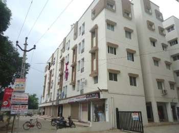 Foliage Navjivan Vihar
