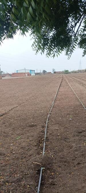 Gondal, Rajkot, Gujarat - LockMyKey