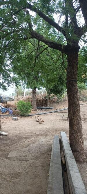 Gondal, Rajkot, Gujarat - LockMyKey