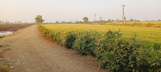 Paddhari, Rajkot, Gujarat - LockMyKey