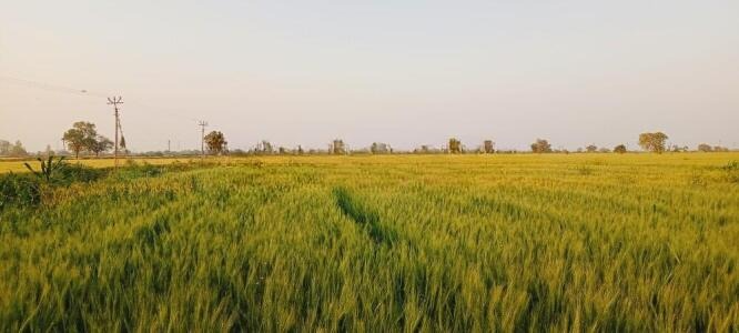 Paddhari, Rajkot, Gujarat - LockMyKey
