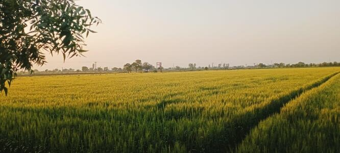 Paddhari, Rajkot, Gujarat - LockMyKey