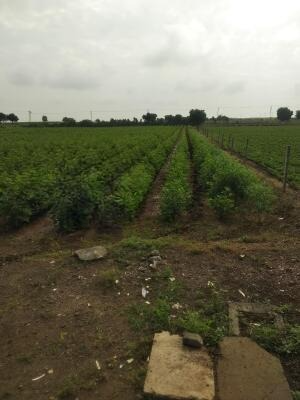 Khokhdadad, Rajkot, Gujarat - LockMyKey